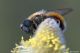 DSC_3747pbase.jpg