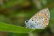 IMG_2456.JPG