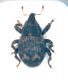 Sardegna 002 copia.jpg