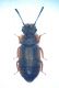 Sardegna 009 copia.jpg