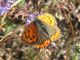 U-0256 - F028.20 - Dalla staccionata ai Crap - 3 NOV 2007 125.jpg