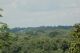 La-canopée-vista-da-Ipassa.jpg