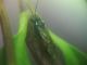 DSCN3958.JPG