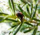 DSCF5707- - Copia.jpg