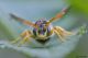 DSC_4934apbase.jpg