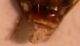 DSCN6143_b.JPG