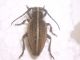 DSCN4106.JPG