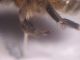 DSCN4137.JPG