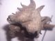 DSCN4157.JPG