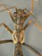DSCN7173.JPG