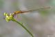 DSC_5842pbase.jpg
