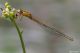 DSC_5849pbase.jpg