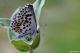 DSC_5854pbase.jpg
