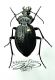 DSCF5932 - Copia.JPG