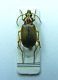 DSCF5936 - Copia.JPG