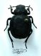 DSCF5949 - Copia.JPG