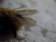 DSCN2843.JPG