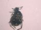 DSCN4192.JPG