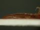 DSCN7242.JPG