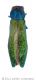 Agrilus subauratuswtmk.jpg