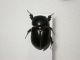 DSCN3157.jpg