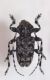 DSCF1431 (376 x 600).jpg