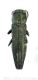 Agrilus graminiswtmk.jpg