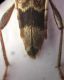 DSCN5562.JPG