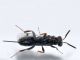 hime - 5 mm -20110519_032.jpg