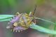 DSC_9999pbase.jpg