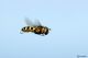 DSC_9840pbase.jpg