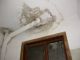 DSCN7373.JPG