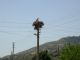 DSCN7543.JPG