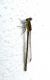DSCN1413rid.jpg