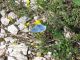 Copia di IMG_2209.JPG
