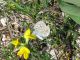 Copia di IMG_2211.JPG