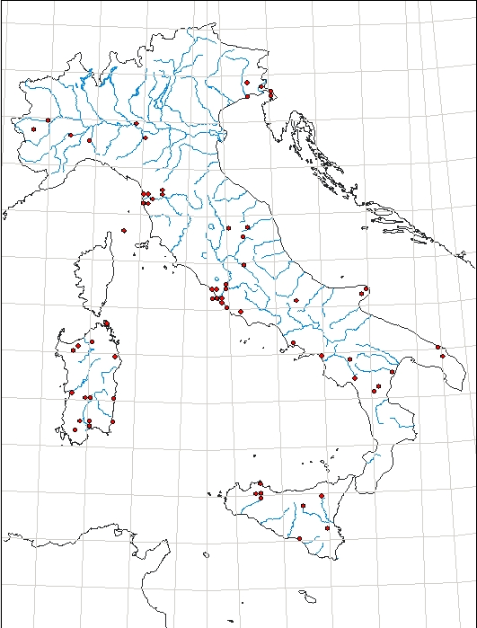 Hygrobia tarda_distribuzione italiana.jpg