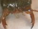 DSCN7723.JPG
