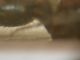 DSCN7722.JPG