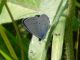 DSCN1136.JPG