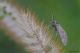 DSC_3358pbase.jpg