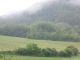 DSCN1498.JPG