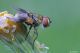 DSC_0568pbase.jpg