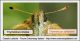 Apice_antenne_sylvestris_lineola_FEI_clido_A.jpg