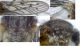 Mosaico mini.jpg