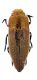011_Sphenoptera antiqua2.jpg