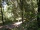 DSCN7907.JPG