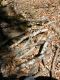 DSCN7906.JPG