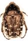 IMG_8250 Cetoniidae.jpg