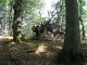 Appennino etrusco_celtico  _2.jpg